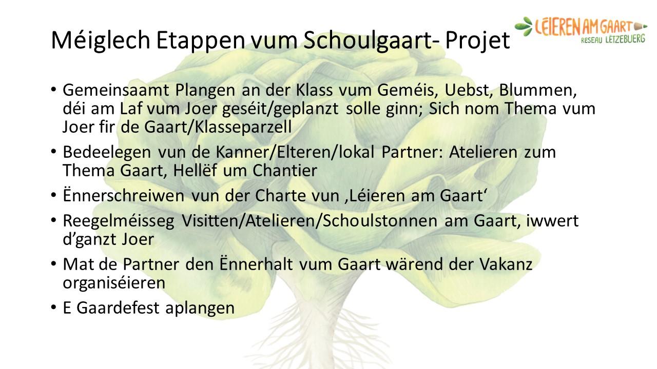 Etappen vum Schoulgaart projet